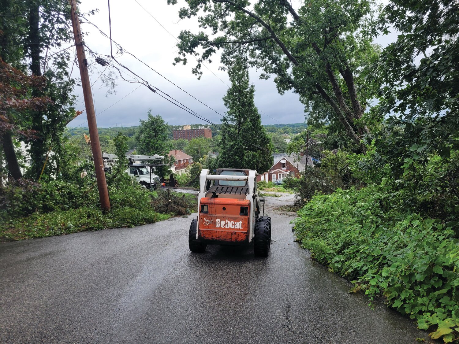 BOBCAT SPOTTED: A bobcat, cemetery workers and private tree removal companies helped clear Rhode Island Avenue following Friday’s storm.